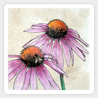 Echinacea 2 Sticker